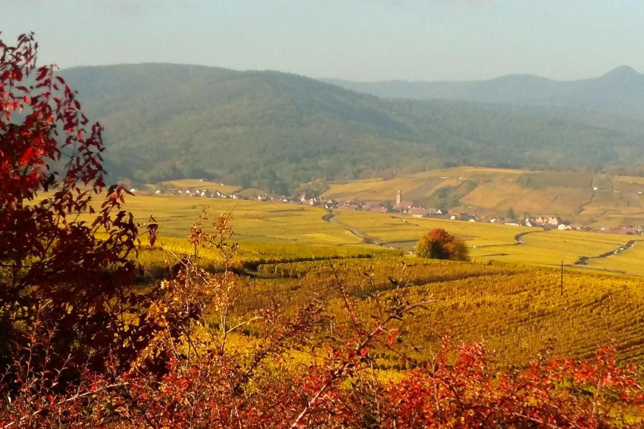 Au Coeur De L'Alsace - Gites Bennwihr Dış mekan fotoğraf