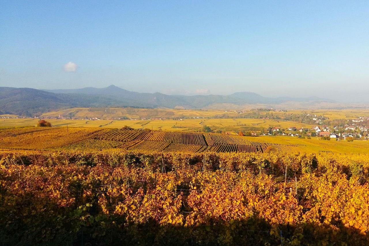 Au Coeur De L'Alsace - Gites Bennwihr Dış mekan fotoğraf